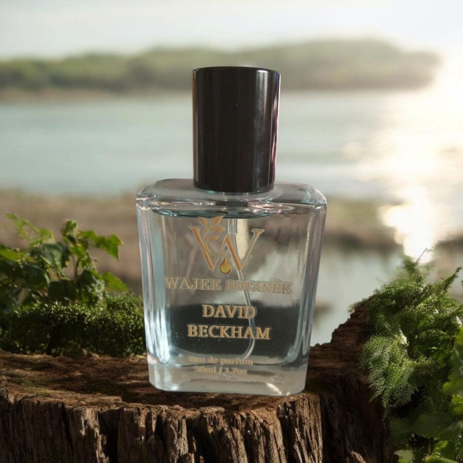 David Beckham Impression