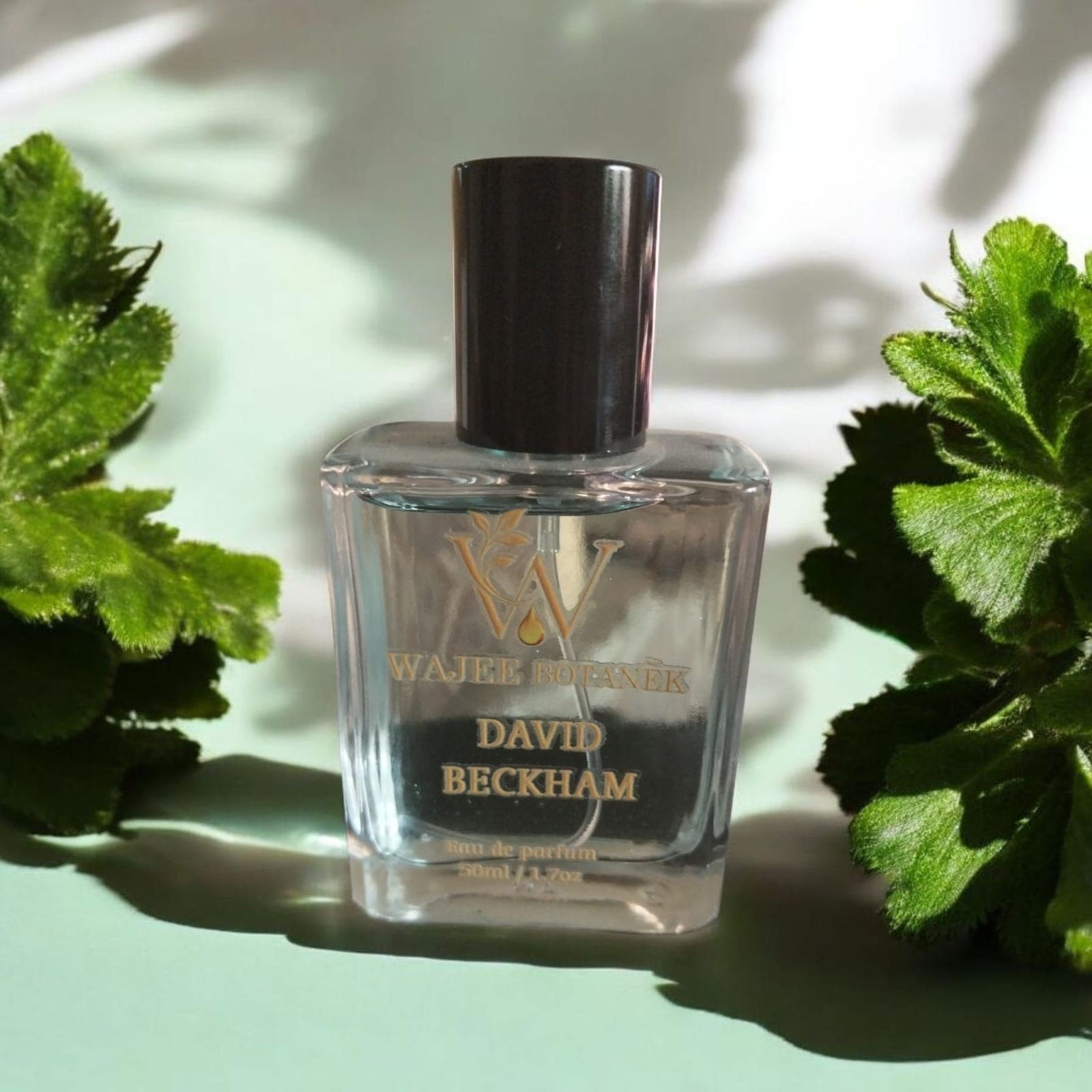  David Beckham Impression view 2